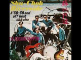 Chinese The Rocking Skippers band -guitar instrumentals