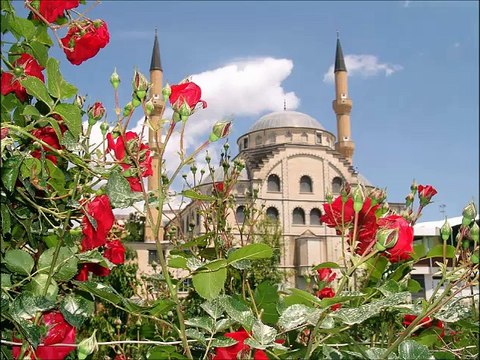 Canlar Dayanmaz & Grup Hacegan