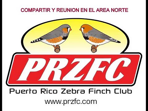 AVIARY GENE PERES ZEBRAS FINCHES