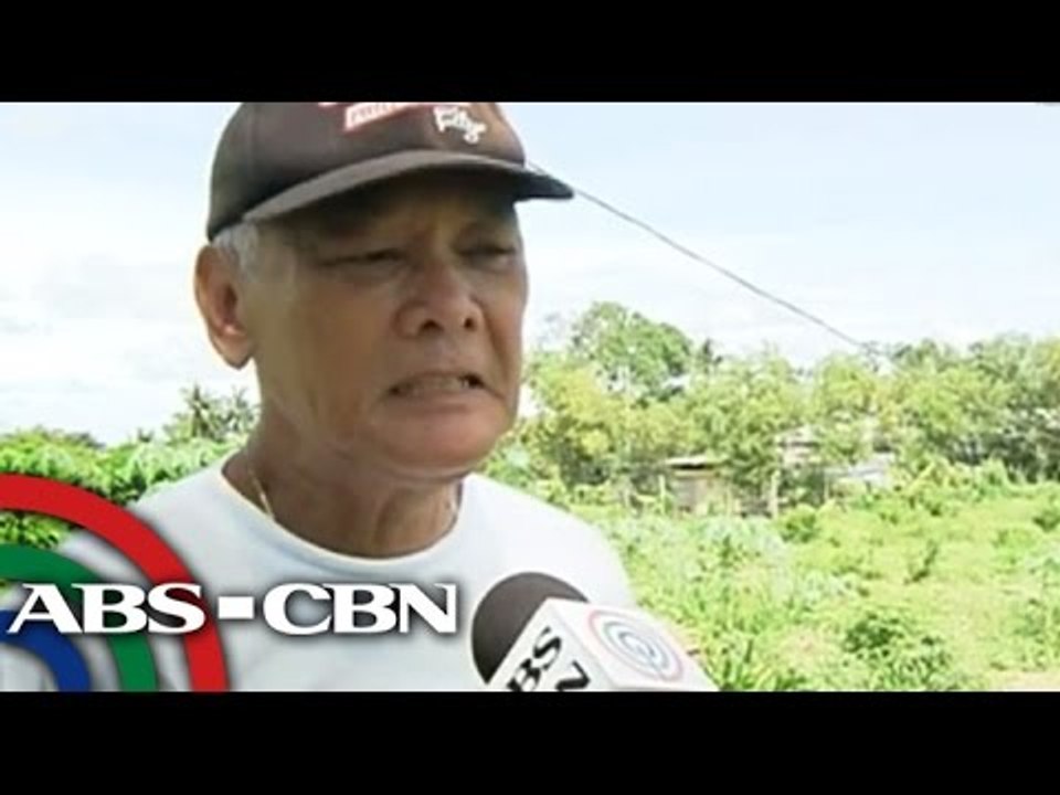 May-ari ng lupa ng JCB Farms, may 'partnership' kay Binay