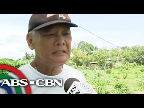 May-ari ng lupa ng JCB Farms, may 'partnership' kay Binay