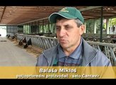 Farma krava porodice Balasa iz Cantavira - U nasem ataru 359