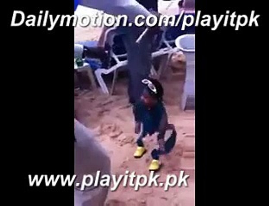 What A Dance can Do  This  Type of Dance Must Watch On Playitpk
