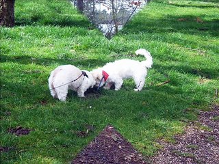 Donja & Anisa Friends for life