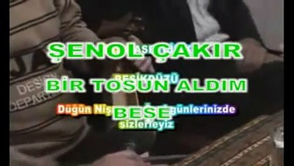 Bİ TOSUN ALDIM BEŞE ŞENOL ÇAKIR