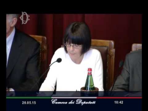 Roma - Rapporto Istat 2015 – La situazione del Paese -Sereni Marina (20.05.15)