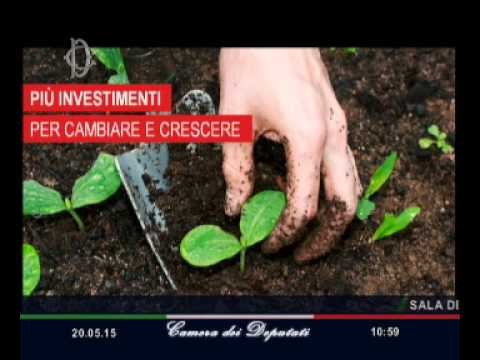 Roma - Rapporto Istat 2015 – La situazione del Paese (20.05.15)