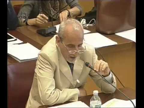 Roma - Piano olivicolo nazionale, audizione Società italiana economia agraria (06.05.15)