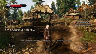 The Witcher 3: Wild Hunt_20150519181413