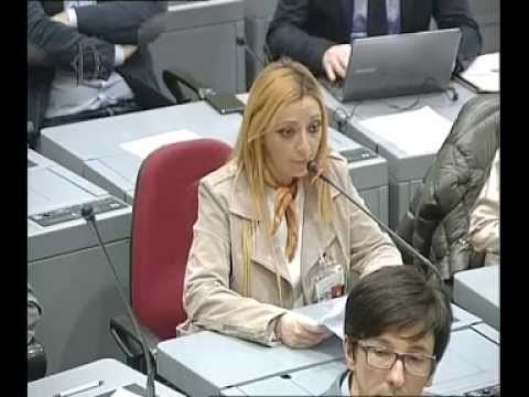 Roma - Riforma sistema nazionale istruzione, audizione esperti (02.04.15)