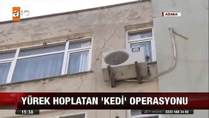 Adana'da ordan oraya atlayan kedi kendini kurtarmaya gelen itfaiyecileri canından bezdirdi