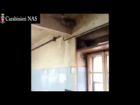 Salerno - Chiuso da carabinieri del Nas panificio abusivo (05.05.15)