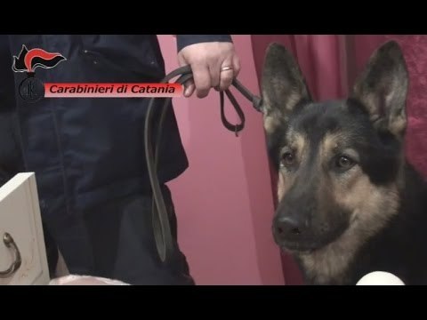 Catania - Pizzo sui vini doc dell'Etna, scacco alla cosca Brunetto (29.04.15)