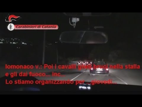 Catania - Pizzo sui vini, intercettazione: Brucia i cavalli nella stalla (29.04.15)