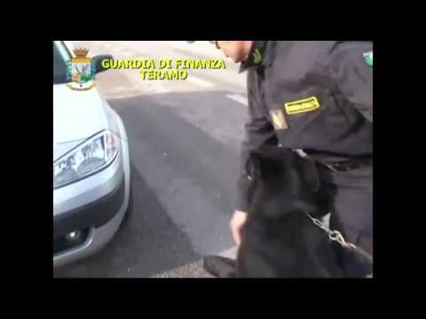 Teramo - Maxi operazione antidroga della Guardia di Finanza (02.04.15)