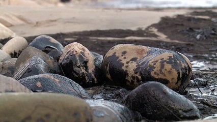Vazamento de petróleo na costa da Califórnia