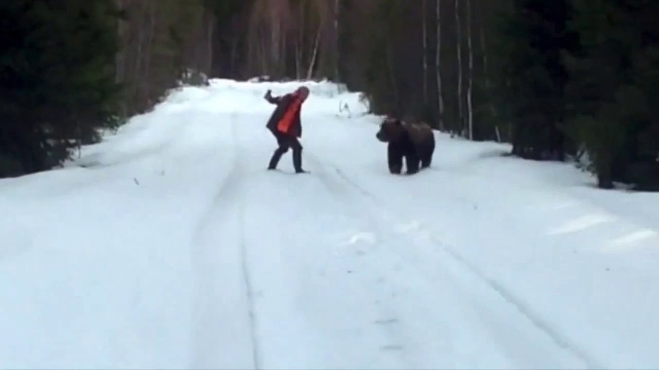 A man yells at a bear load