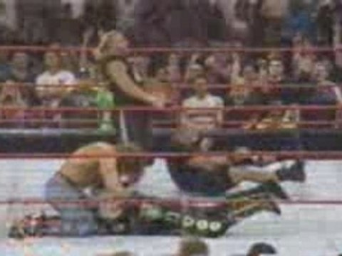 wwe - stone cold & hhh stunner and pedeg