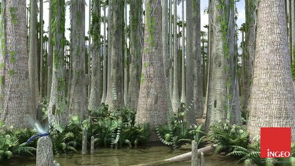 Présentation 3D didactique présentant la formation du charbon