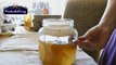 Kombucha SCOBY Attempts To Climb Out of Fermentation Jar