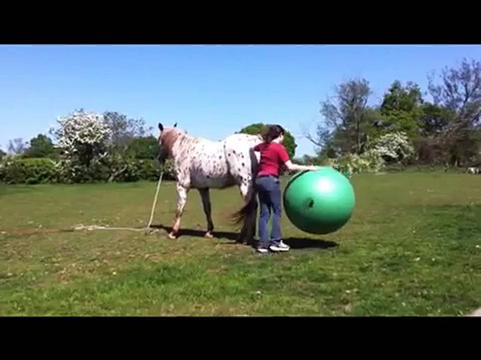Comanchie Big Green Ball Fun