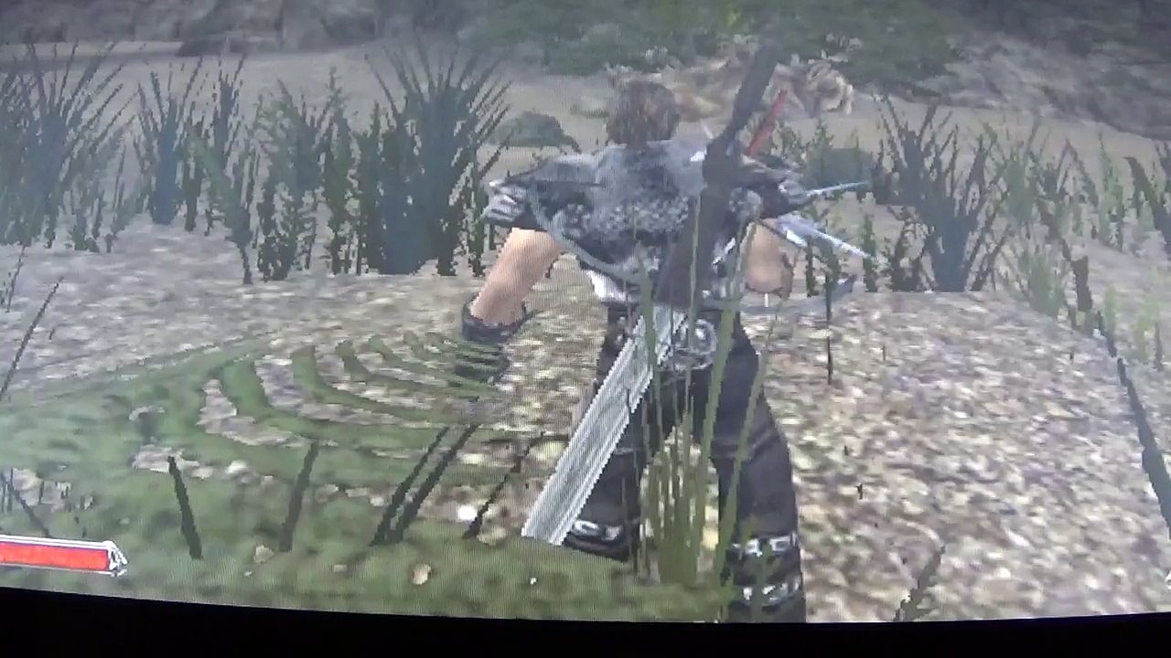 Verwandlung Drachensnapper