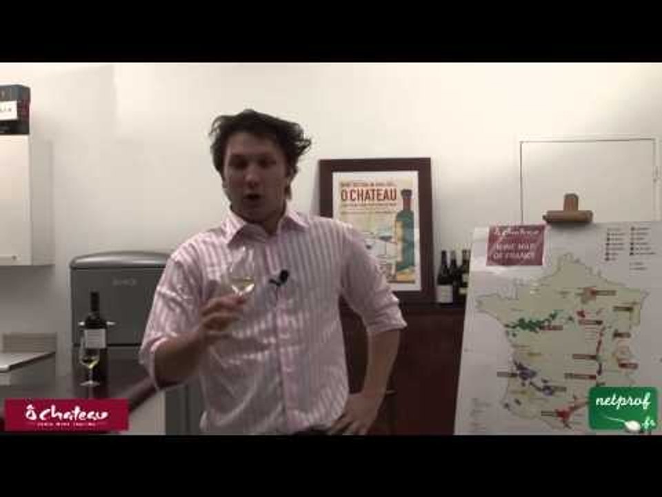 Technique de dégustation de vin