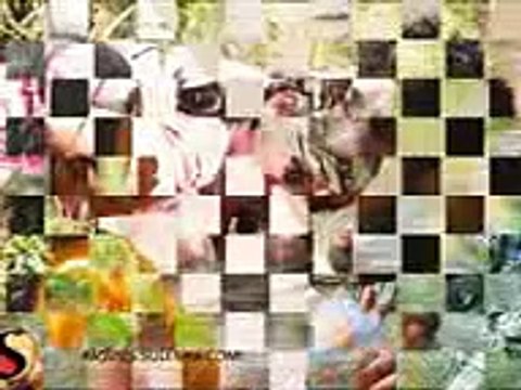 Thanga Meengal Anandha Yazhai Song