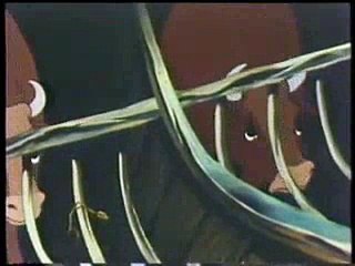 LA FATTORIA DEGLI ANIMALI di George Orwell P2