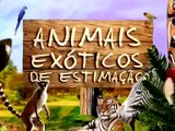 Badoca Safari Park - Animais Exóticos de Estimação