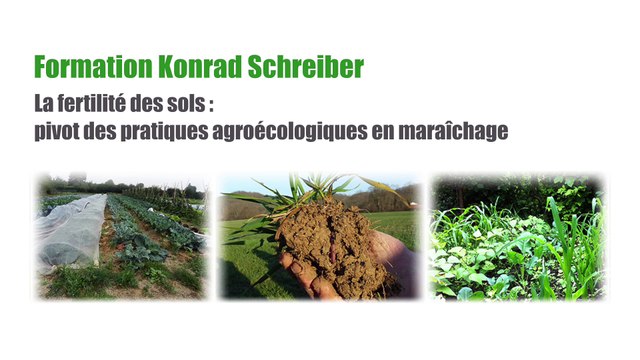 Formation MSV K Schreiber partie 11 Thèmes : Matière organique du sol, travail du sol et minéralisation. Amendements calcaire et souffre