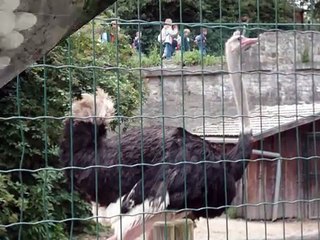 zoo de maubeuge