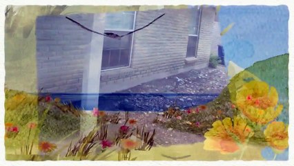 Landscape Designer Denver CO Call (303) 578-4788