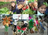 Proyectos Ambientales Escolares PRAES, Municipio de Paime