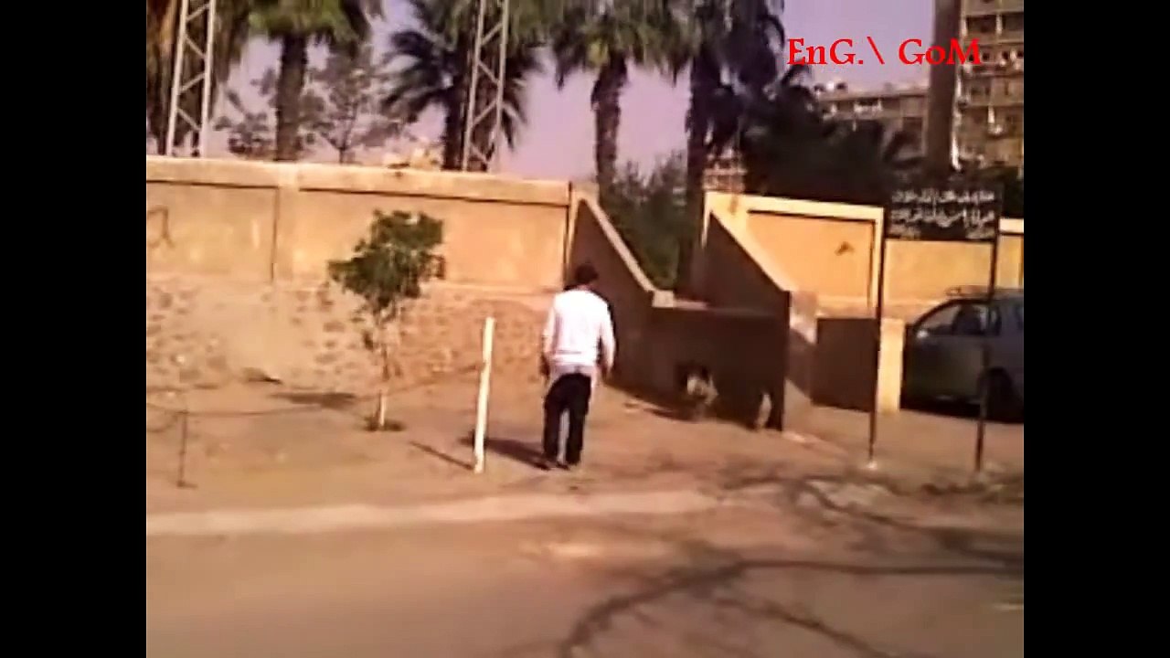 Dog training ( sizar's father my dogs ) تدريب كلاب الجيرمن شيبرد
