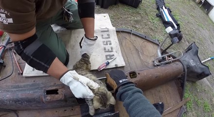 Poor Cat Gets Stuck in a Small Space