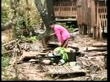 News Report on Cyclone Nargis in Burma