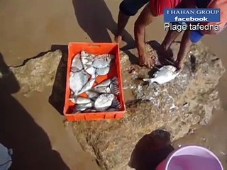 مدينة تفضنة التاريخية:أجمل شواطئ الصويرة