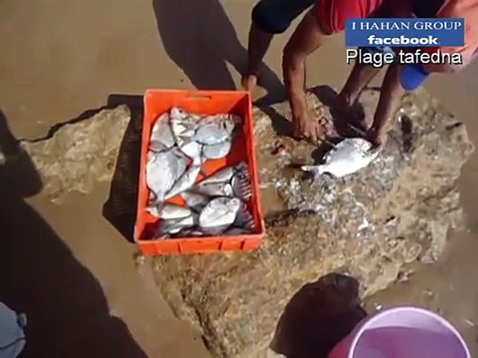 مدينة تفضنة التاريخية:أجمل شواطئ الصويرة