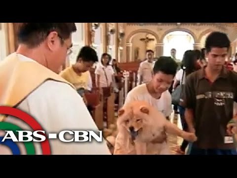 'World Animal Day' ipinagdiwang din sa Pinas