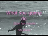Kaysha feat Elizio what you gonna do