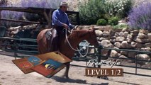 Parelli Natural Horsemanship Levels Pathway