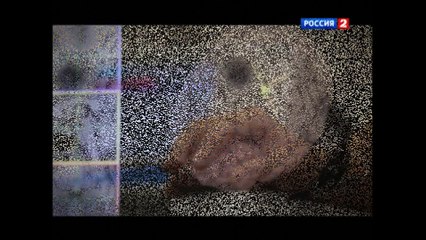 Libet experiment, TMS study (in Russian) at Higher School of Economics