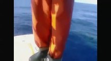 RAW VIDEO  Great White Shark circles boat off Oahu - Hawaii News Now - KGMB and KHNL
