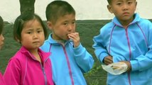 UN Report: Food Aid to North Korea Dwindles