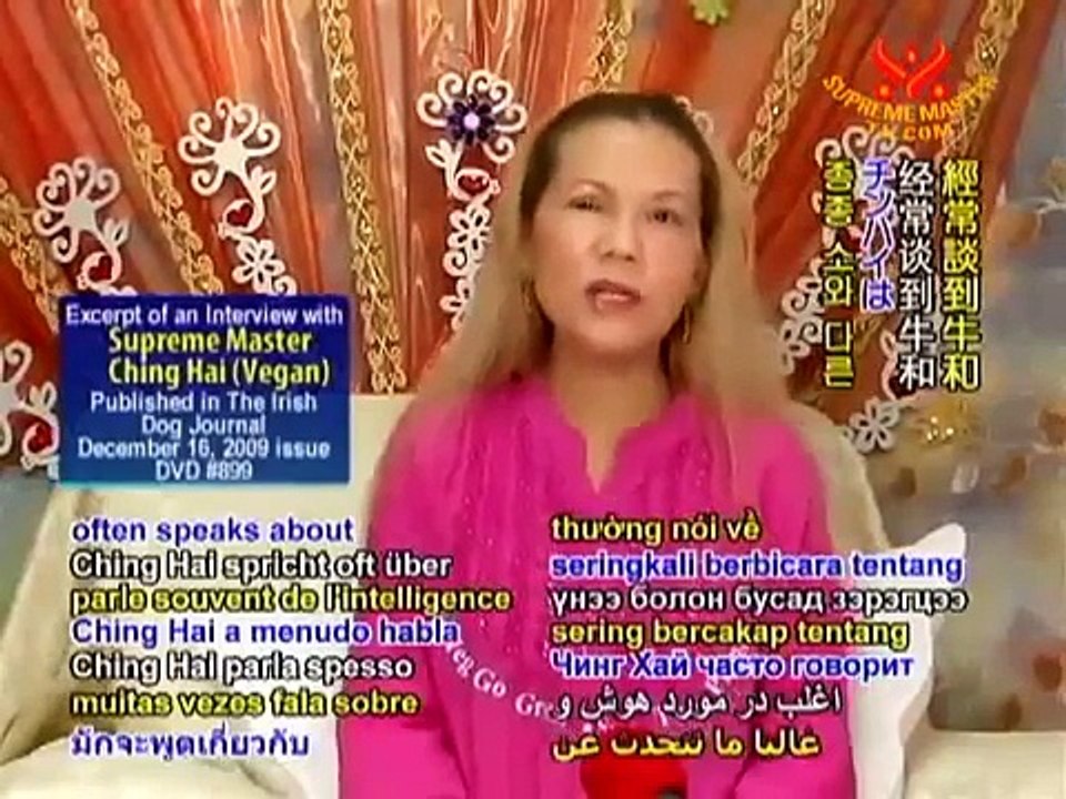 STOP ANIMAL CRUELTY: Milk-Dairy is Murder for Cows and Calves - Supreme Master Television