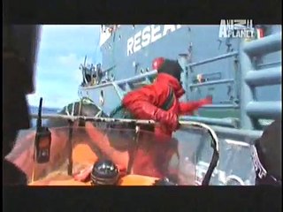 DEFENSORES DE BALLENAS 1 (continuacion.►2)