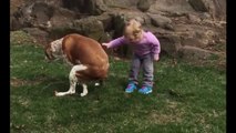 Une Petite fille aide son chien à faire caca