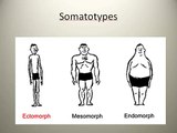 The Myth of the Mesomorph, Ectomorph & Endomorph I Body Types & Your Body Shape