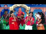 Udatu Udatu Aayu Re Pepdanu Pan - Dasamaa Kare Maher To Thay Lila Laher - Gujarati